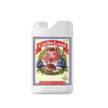 Advanced Nutrients CarboLoad Liquid | 1 L