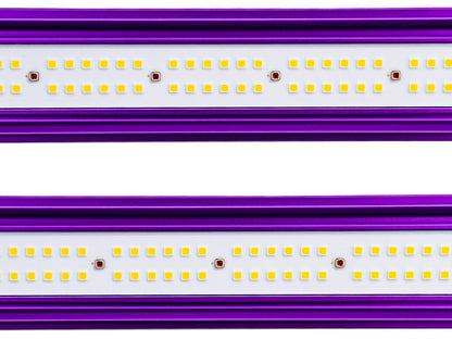 Lumatek ZEUS 465W Pro 2.9 LED