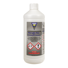Hesi pH+ | 1 L