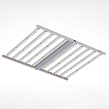 King LED Platinum (1000 W) Incl Control Connection