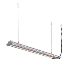 Hortimol 40W TLED Bar