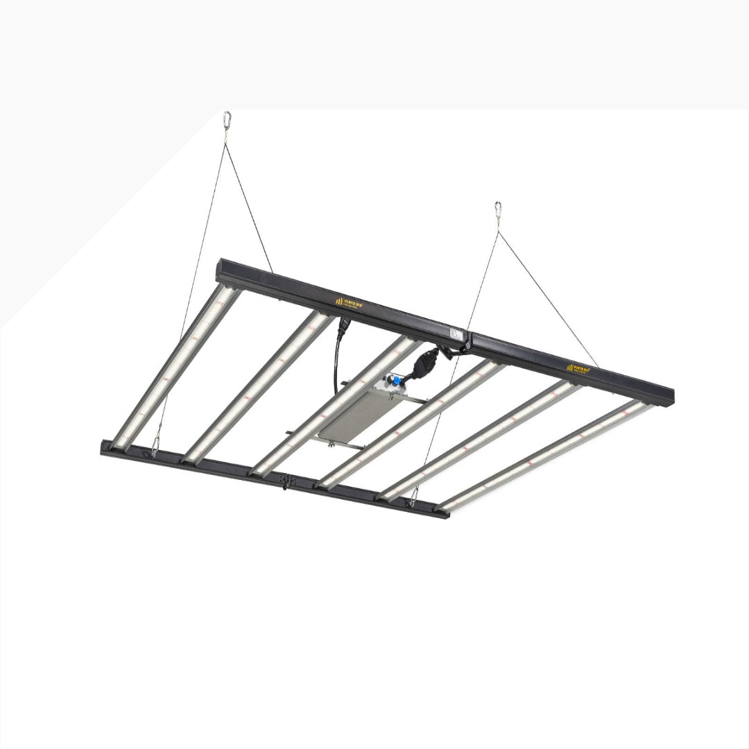 Fortis BYD LED 720W