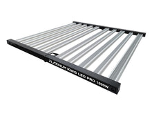 King LED PL Black 1000W (Driver integrated)