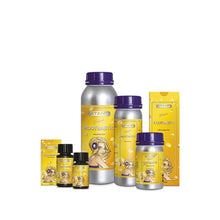 Atami RootBastic 100 ml