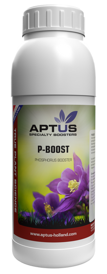 Aptus P Boost 500ml