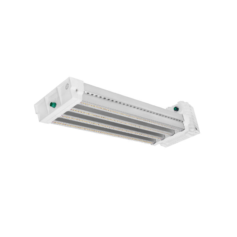 DLI Apex Series Toplight 800 FS DC