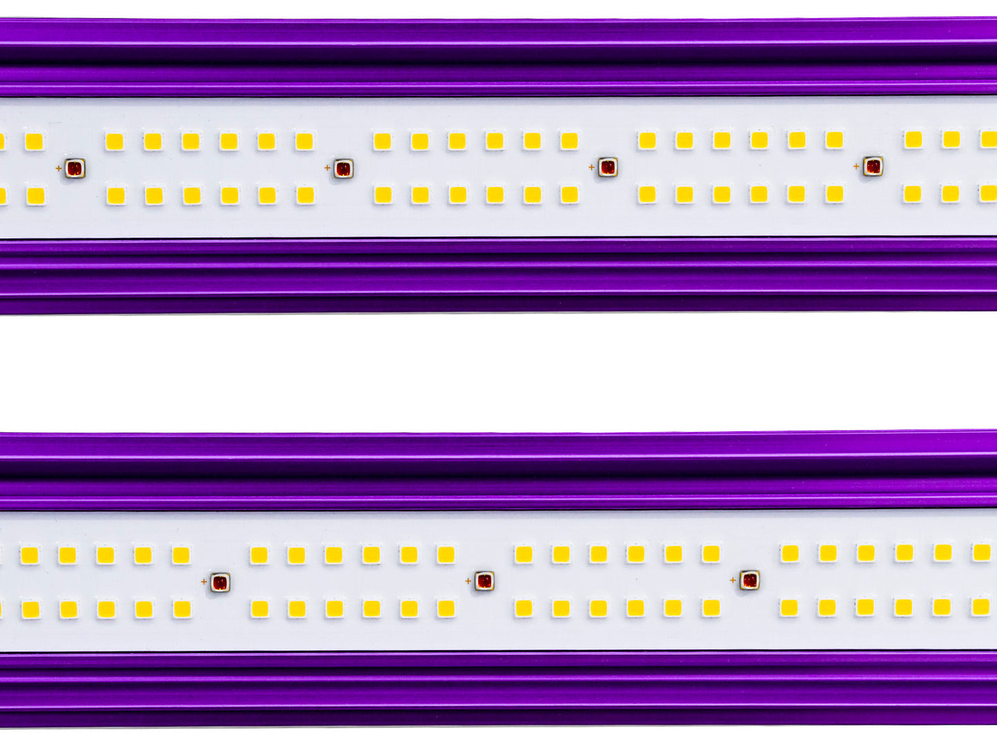Lumatek ZEUS 465W Pro 2.9 LED