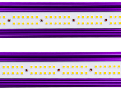 Lumatek ZEUS 465W Pro 2.9 LED