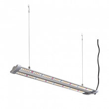 Hortimol 40W TLED Bar