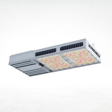 Led Reno Platinum (820 W)