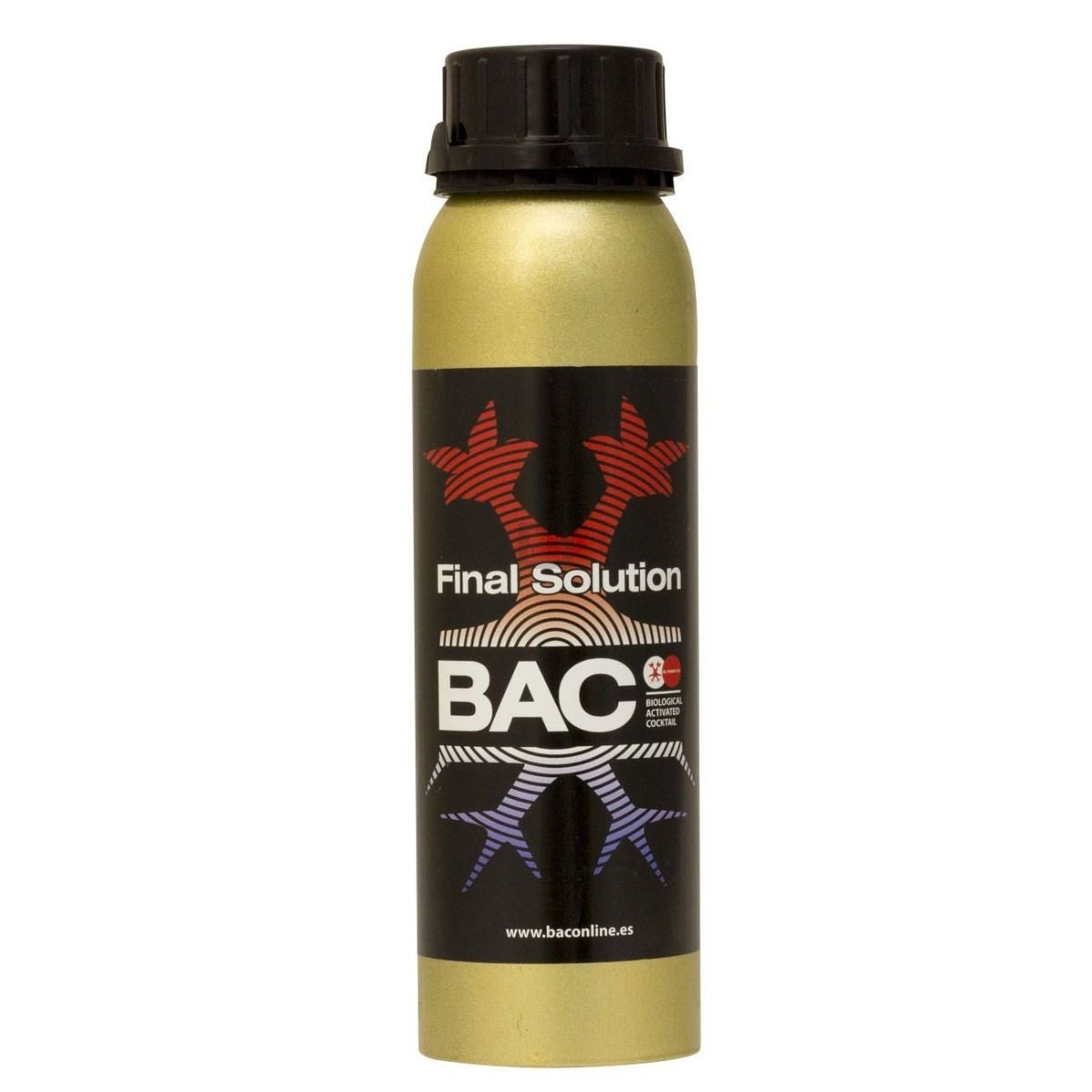 BAC Final solution 1L