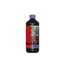 Atami B’cuzz Coco Bloomstimulator 500 ml