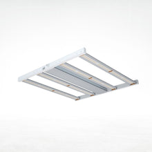 King LED Platinum (200 W) Incl Control Connection