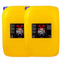 BAC A + B Coco Grow 20L