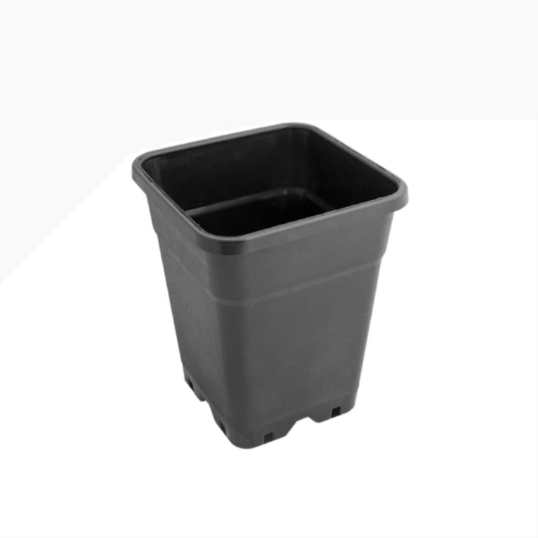 Aero pot Square - 11 L