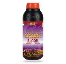 Matrix Bloom | 10 L