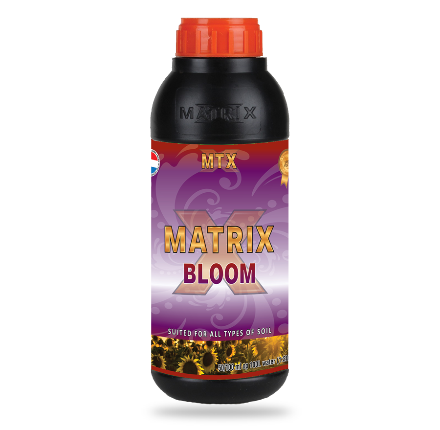 Matrix Bloom | 10 L
