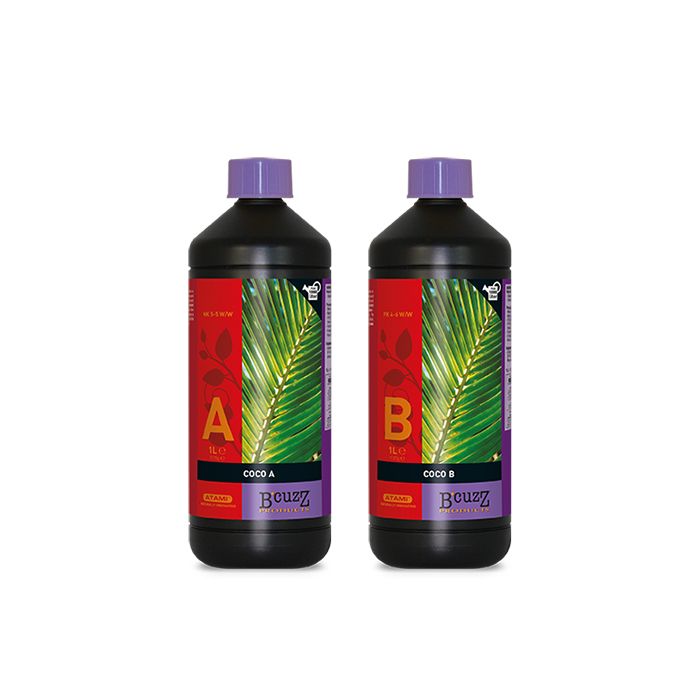 Atami B’cuzz Coco A&B  1 L