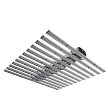 King LED Platinum (1360 W) Incl Control Connection